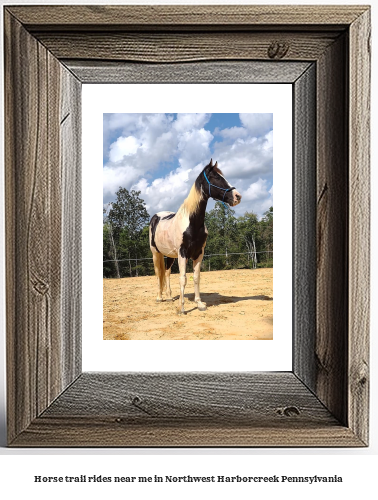 horse trail rides near me in Northwest Harborcreek, Pennsylvania